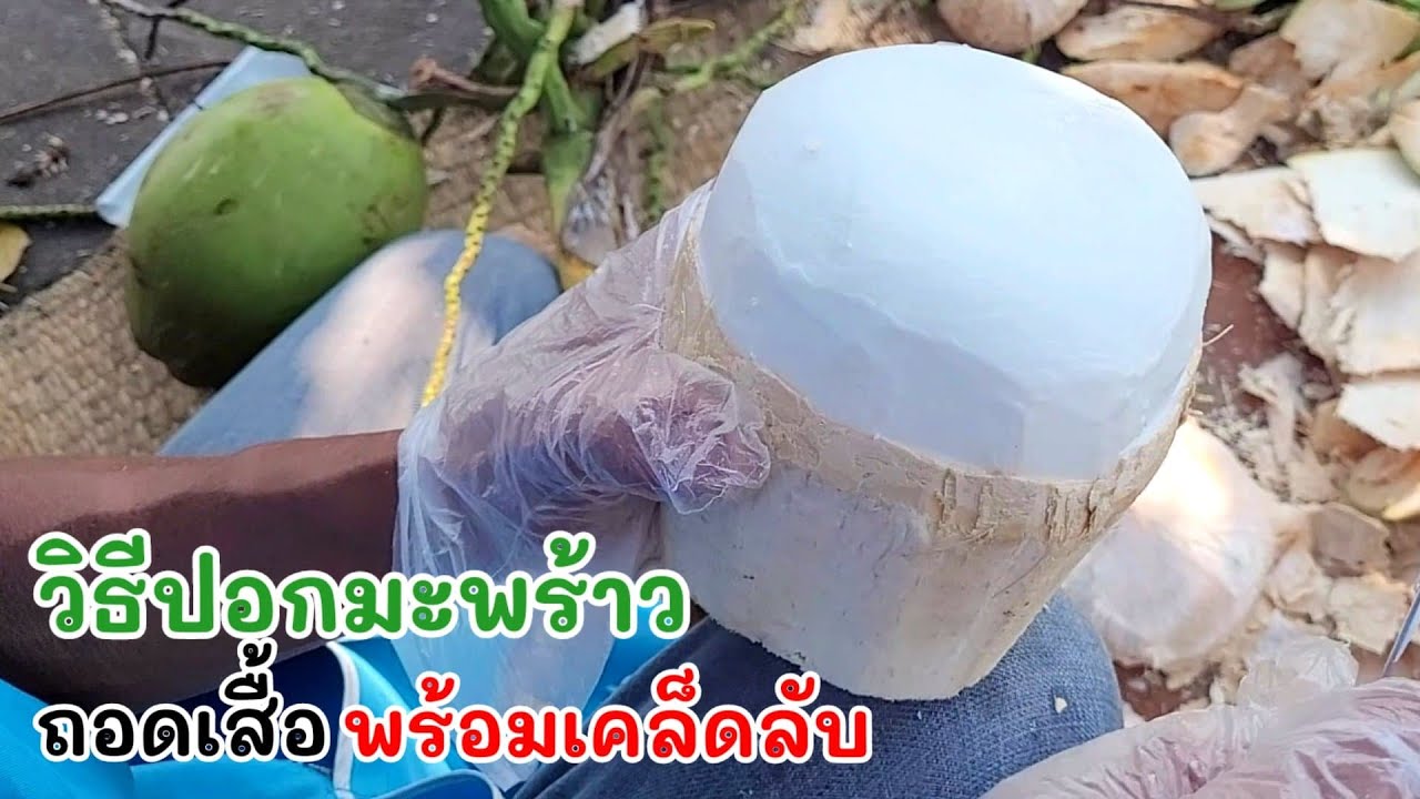 วิธีปอกมะพร้าวถอดเสื้อ พร้อมเคล็ดลับไม่ให้มะพร้าวแดงช้ำ จากพ่อค้า
