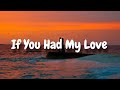 TWOPILOTS &amp; De Hofnar - If You Had My Love