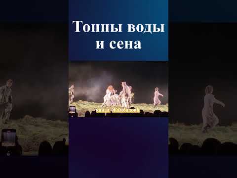 Вдова Андрея Панина