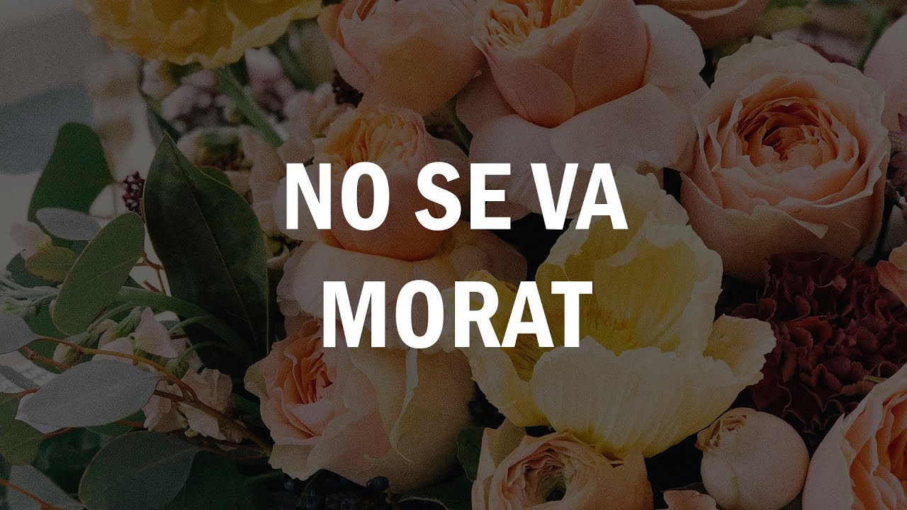 No Se Va Morat LETRA YouTube no-se-va-morat-letra-youtube