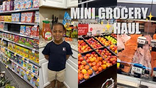 MINI GROCERY HAUL | THIS IS WHAT I SPENT $250 ON FOR THE NEXT 2 WEEKS