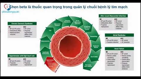 Sử dụng chẹn beta hiệu quả trong thực hành lâm sàng