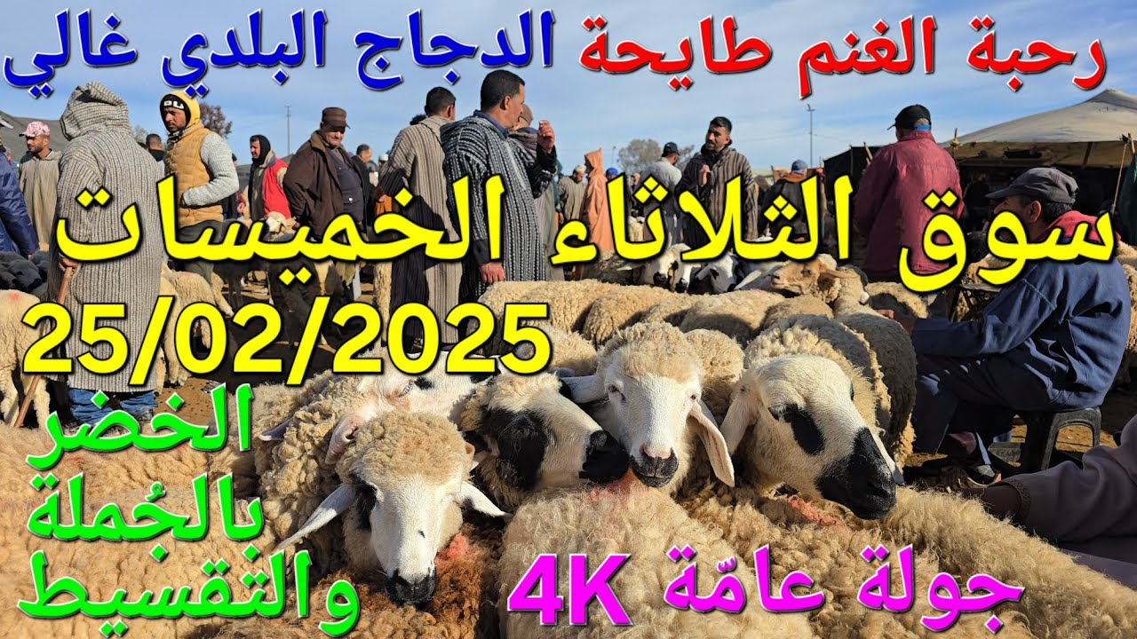 أثمنة البقر والغنم والدجاج واللحوم والخضر سوق الخميسات اليوم الثلاثاء 25/02/2025