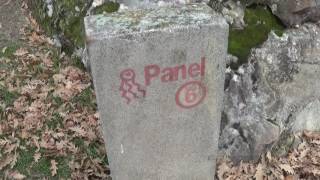PINTURAS RUPESTRES DE VALONSADERO Soria