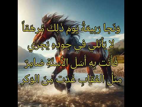 أبني سليم إن لقيتم فقعسا الخنساء