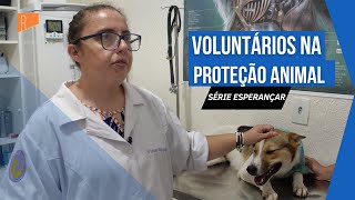 Amigos Protetores: voluntários realizam ações de proteção animal