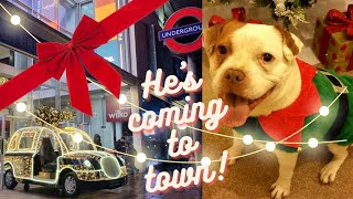 A London Vlogmas! Days 4 & 5: Waitrose Party Food & Gifts from Santa Paws!