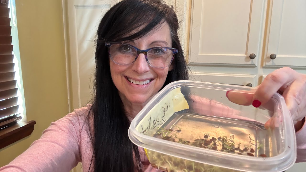 My FAVORITE Way to Plant Milkweed Seeds