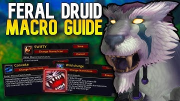 Rank 1 Feral Druid Macro Guide | WoW Arena