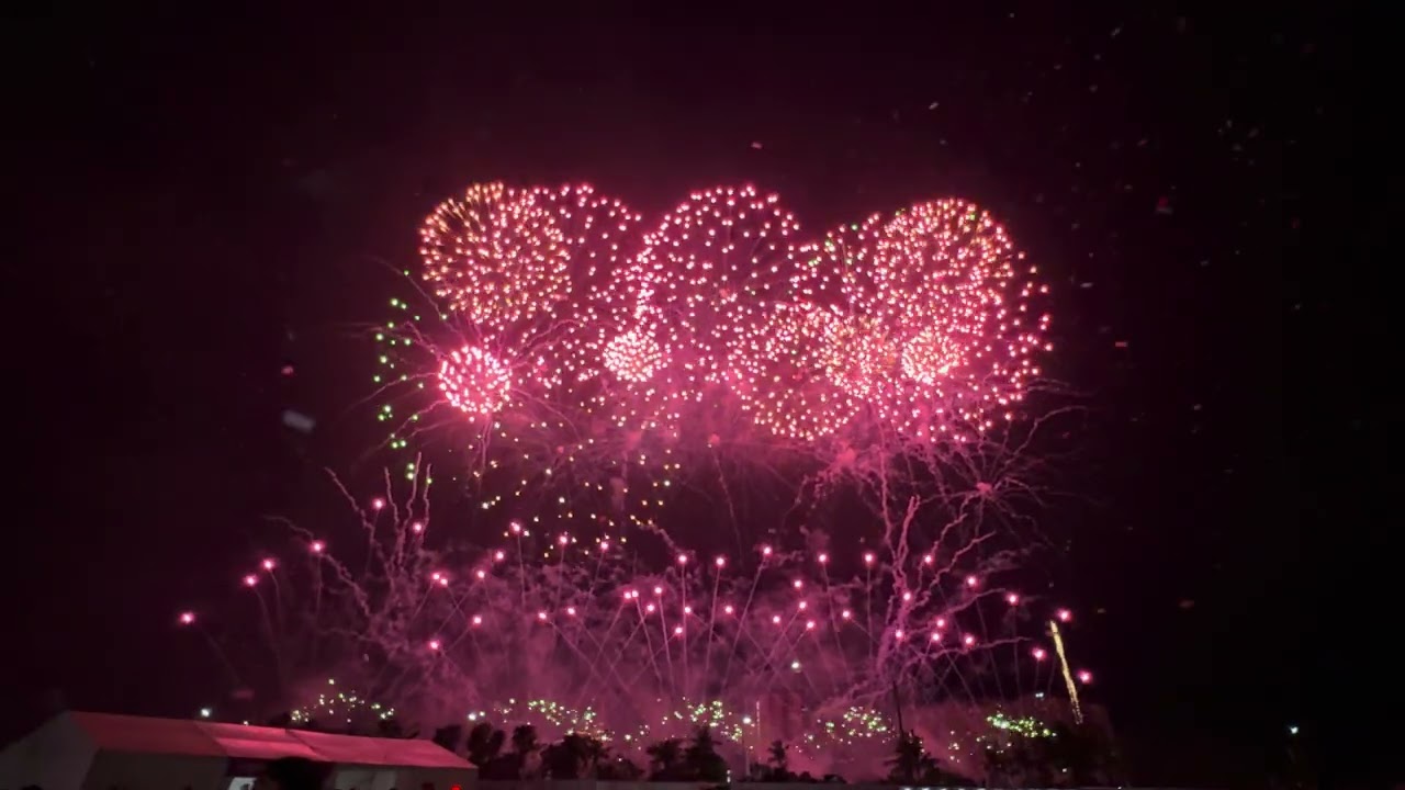 《晨光里有你》 20251128海口