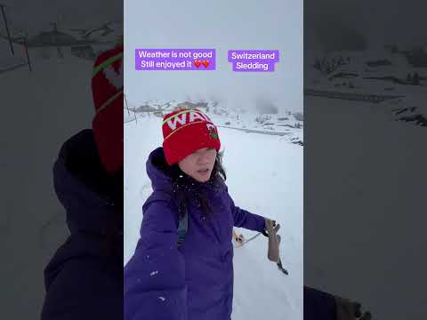 Toboggan in Switzerland 🇨🇭 #switzerland #bestofeurope #snow #swissalps #mountains #swisstravel