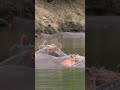 Benefits and Effects of Water Sounds