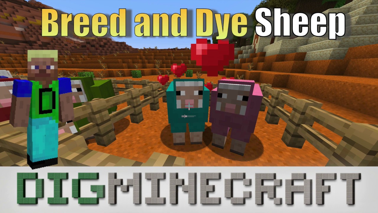 How to breed and dye sheep in Minecraft - YouTube