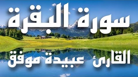سورة البقرة القاريء / عبيدة موفق
