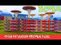 You Have Never Seen Shiromeda Like This рџ Єрџ Ethiopians Cultural Heart Revealed 2025 You Have Never Seen Shiromeda Like This рџ Єрџ Ethiopians Cultural Heart Revealed 2025