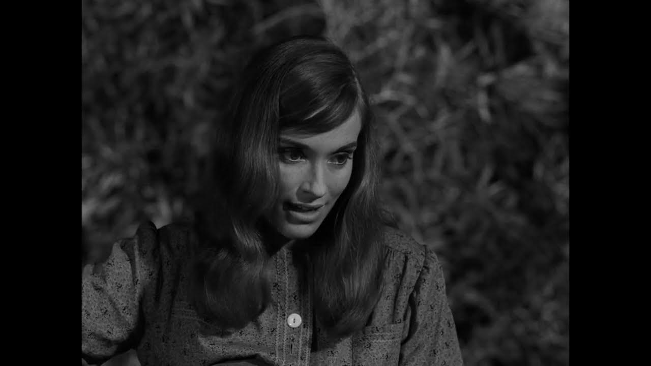 come-wander-with-me-the-twilight-zone-come-wander-with-me-5x34