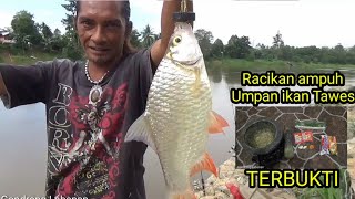 Racikan umpan ikan Tawes!! Terbukti ampuh