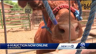 4 H County Fair for kids now virtual
