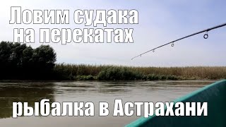 Рыбалка в Астрахани - ловля судака на джиг головки