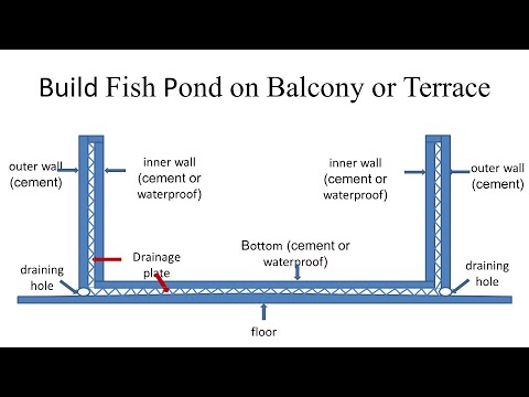 Video: Làm Thế Nào để Làm Một Sân Thượng Trong Một Hồ Cá