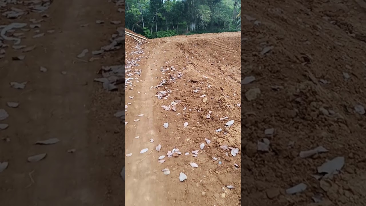 Budidaya ikan nila kolam tanah 
