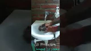 Cara memandikan baby musang dan cara kasih susu baby musang (by : c3 jember )