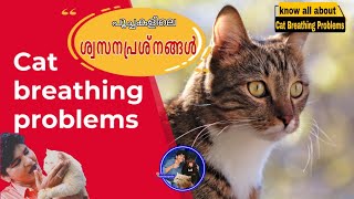 Know All About Cat Breathing problems @NANDASPets by NANDAS pets 385 views 1 year ago 4 minutes, 55 seconds