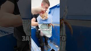 Парень Спас Котёнка Который Застрял В Мусорном Баке #Интересные #Спасение #Животные