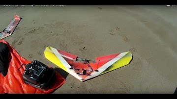 Assassin Combat Wing from Crash Test Hobby.