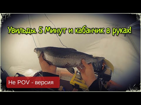 ПОЙМАТЬ КРУПНОГО СИГА ЗА 5 МИНУТ! УВИЛЬДЫ! НЕ POV - ВЕРСИЯ.