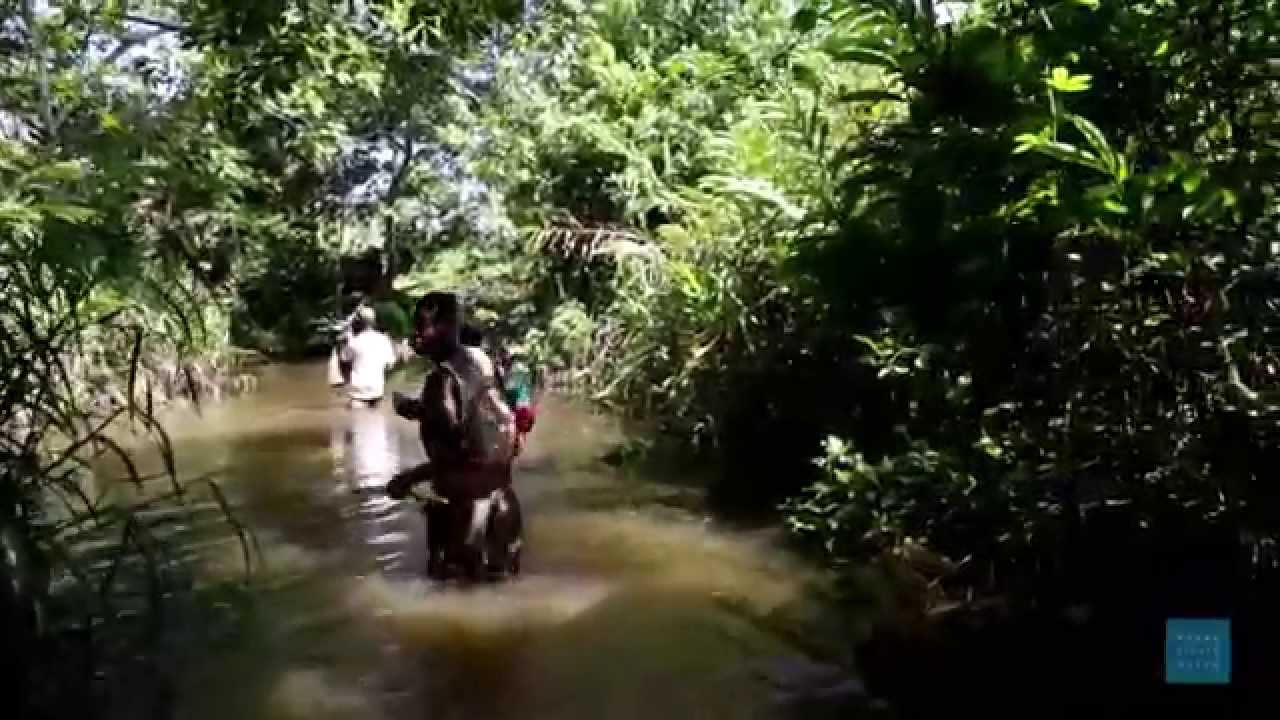 Life in the Bush - Central African Republic