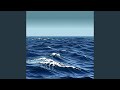 Ocean Journeys