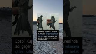 Ebabil Kuşu İlk Defa Görenler ? Şfet