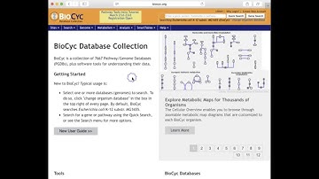 Introduction to BioCyc - Part 1 - Overview (2016)