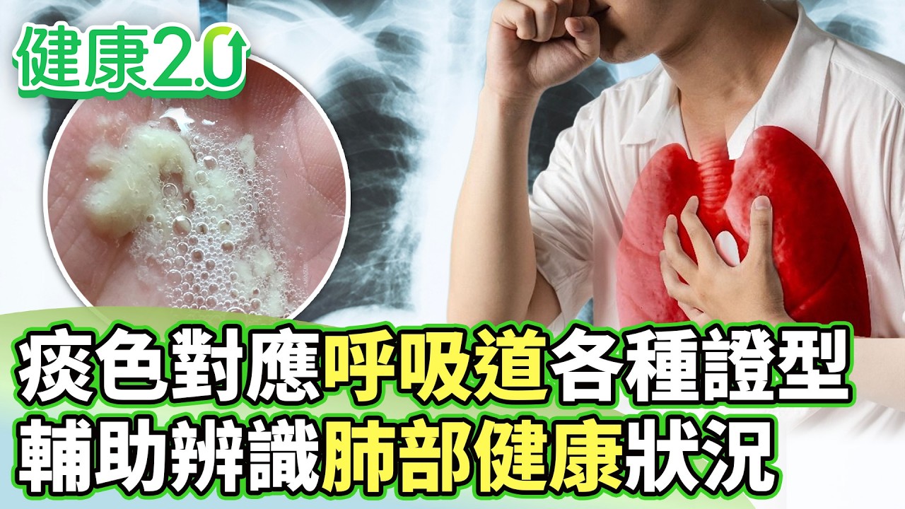 痰色對應呼吸道各種證型 輔助辨識肺部健康狀況【健康2.0分段】@tvbshealth20 EP3180-3 20260321 #鄭凱云#李琳 ...