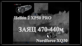 Yukon Nordforce XQ30 и Pulsar Helion 2 XP50 PRO - Заяц 470 - 440м