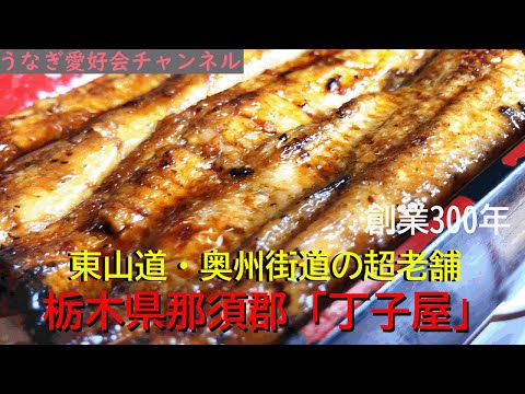 4kめし 那須の超老舗鰻やさん 丁子屋 さん Youtube 4kめし 那須の超老舗鰻やさん 丁子屋 さん Youtube