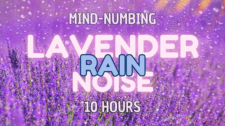 Mind - Numbing Lavender Rain Noise | Study, Sleep, Tinnitus Relief and Focus | 10 Hours BLACK SCREEN