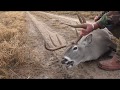 Whitetail Buck Survives 7mm mag Round To The NECK!!!