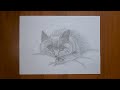 Как нарисовать кота /Карандашом/ Рисунок/ How to draw a cat. With a pencil