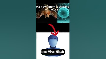 निपाह वायरस क्या है? | What is Nipah Virus ? #nipah #nipahvirus #india #health #shorts #2023 #virus