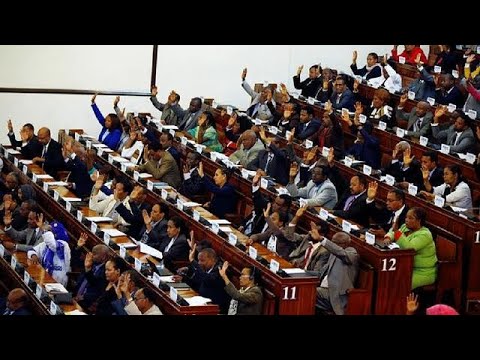 Ethiopia Removes Terrorist Label From OLF ONLF And Ginbot 7 Opposition Groups