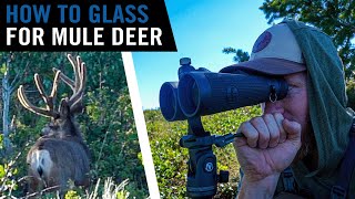 How to Glass For Mule Deer  Early Season Tips!