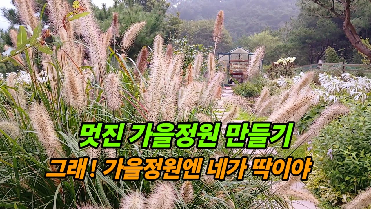 가을옷 갈아입는정원/몽환적인 분위기