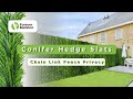 FOREVER BAMBOO Premium PVC Hedge Slats for Chain Link Fence 92% Privacy Ultra-Dense Conifer Leaves