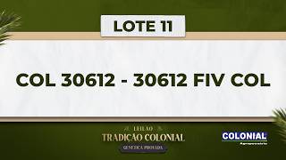 LOTE 11   COL 30612   30612 FIV COL