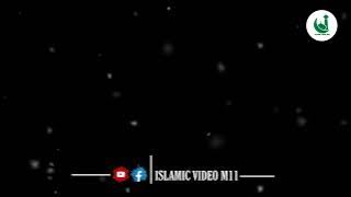 একদিন তোমারি নাম মসজিদে হবে এলান 😥🥀 Islamic gajol • Black screen status lyrics video