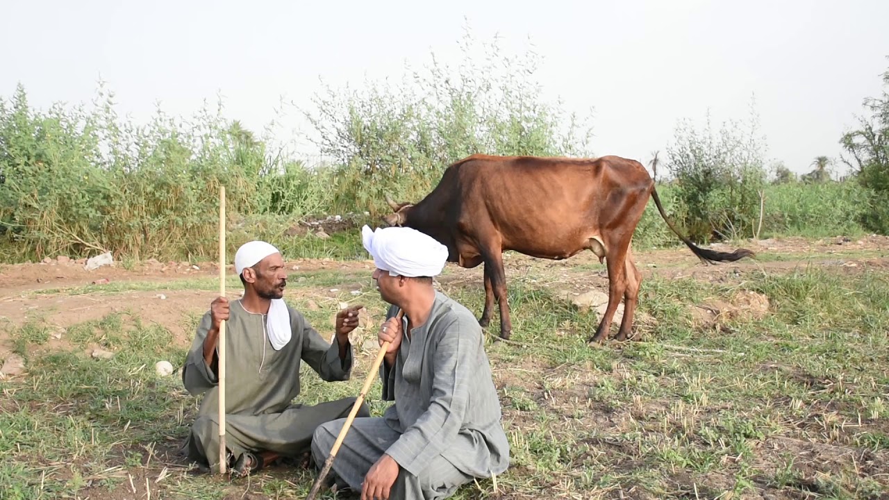 الحاج الضوى جاله طرش فى ودانه بسبب الديون 😂