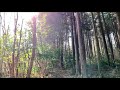 場所は伏す
