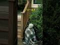 小さな町に墜落した宇宙船──独り暮らしの老人の運命が一変する #film #movie